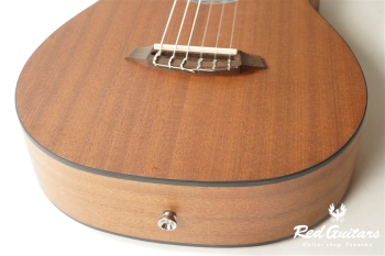 Mini II MH